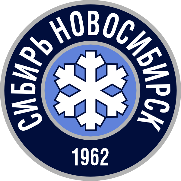HC Sibir Novosibirsk 2013 Alternate logo iron on heat transfer